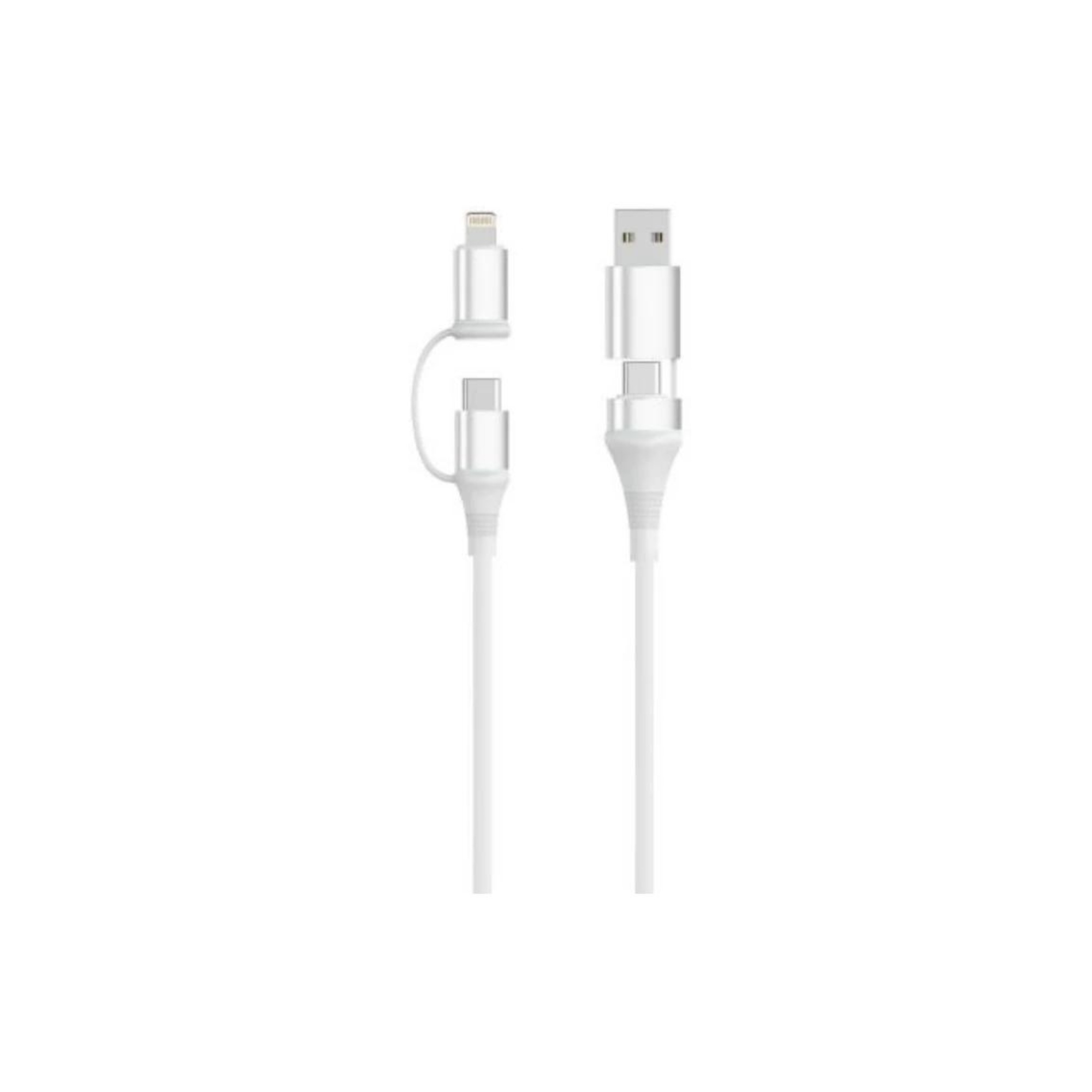 CABLE UNIVERSAL DE CARGA RAPIDA EWENT EC1075 4EN1 60W 1M BLANCO