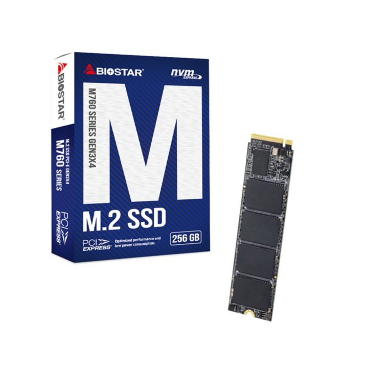 DISCO M.2 NVME 256GB BIOSTAR M760 SA122PME36 2280 READ 3200MB/s WRITE 1300MB/s