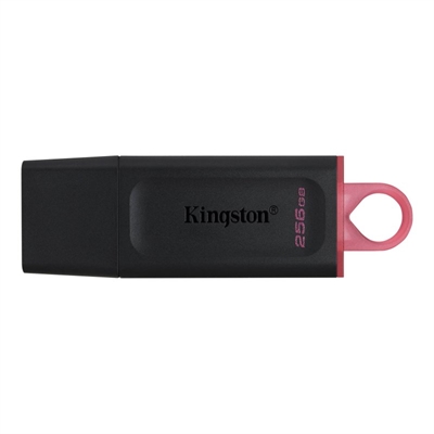 Kingston Memoria USB DTX 256GB USB 3.2 Gen1 Negro