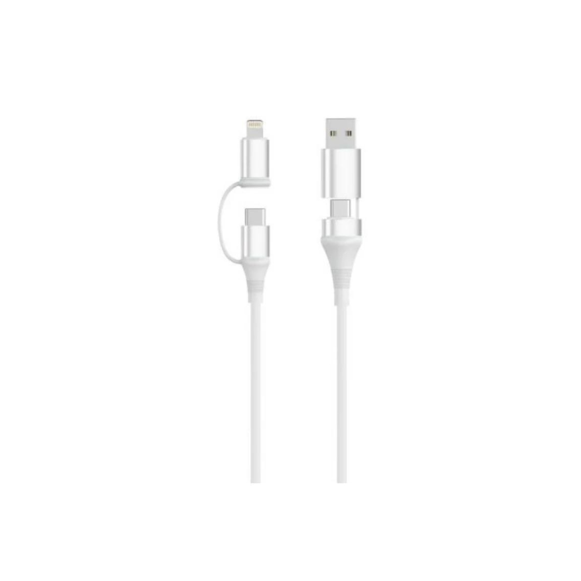 CABLE UNIVERSAL DE CARGA RAPIDA EWENT EC1076 4EN1 60W 2M BLANCO