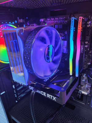 1000003137-min-min -1.png